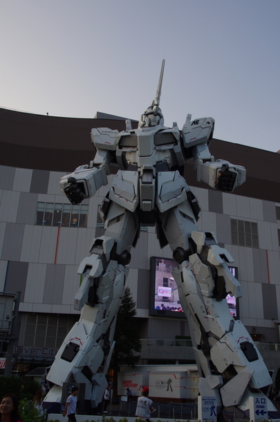 IMGP7895.JPG