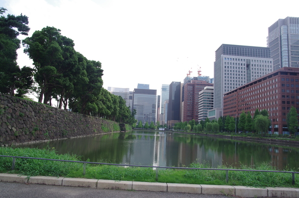 IMGP8032.JPG