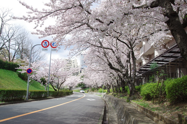 IMGP8391.JPG