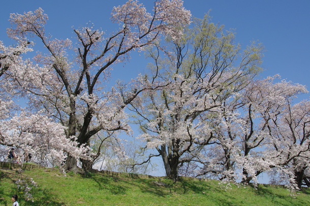IMGP8448.JPG