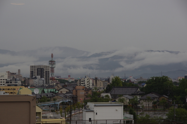IMGP8475.JPG