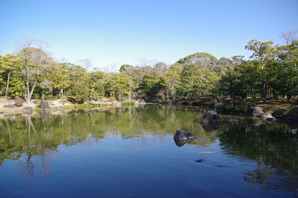 IMGP9148.JPG