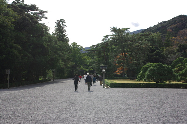 IMGP9278.JPG