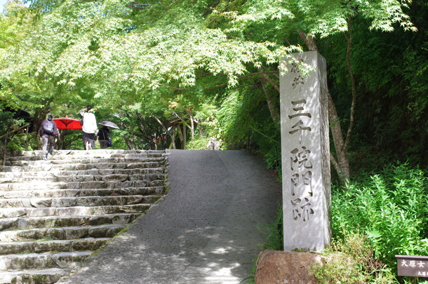 IMGP9430.JPG